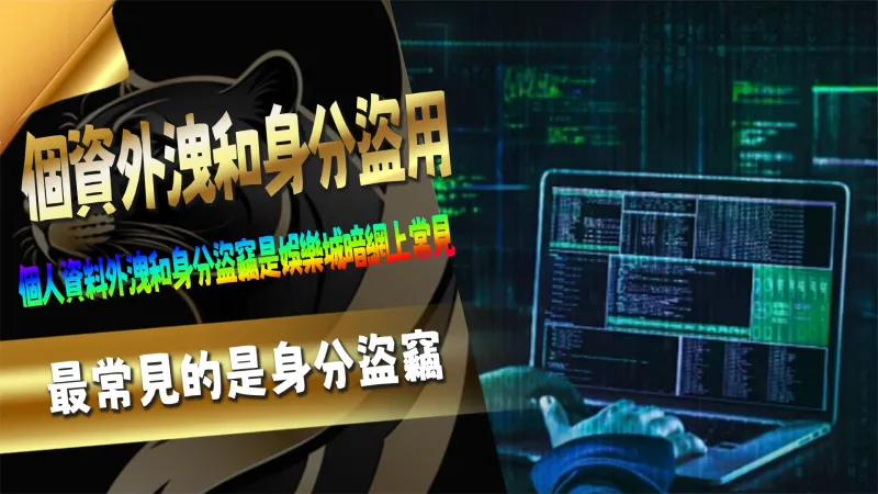個資外洩和身分盜用